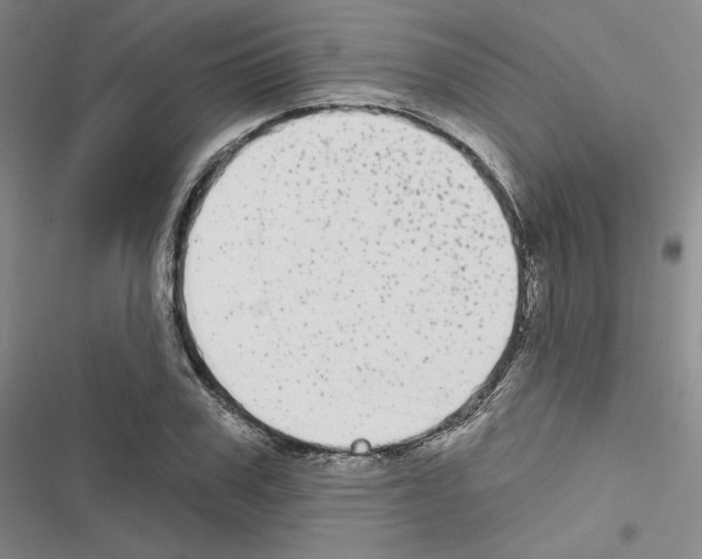 X0000116570979201001211240