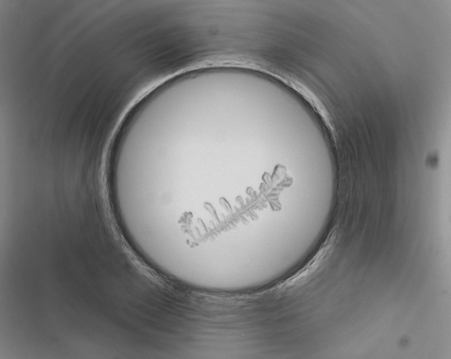 X0000116570981201001211240