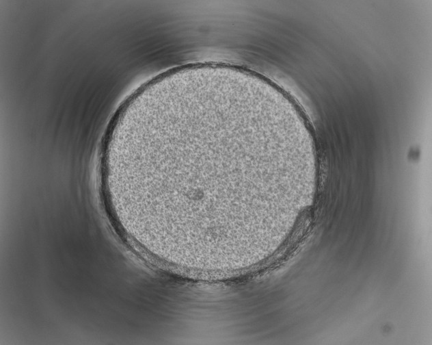 X0000116570983201001211240