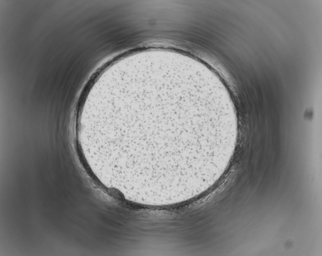 X0000116570984201001211240