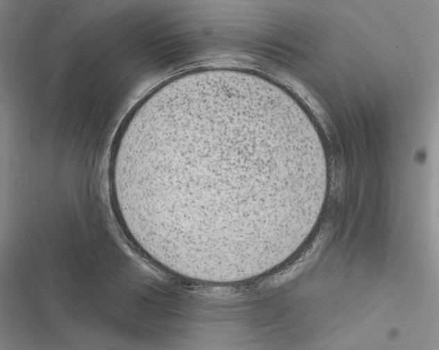 X0000116570986201001211240