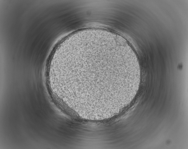 X0000116570987201001211240