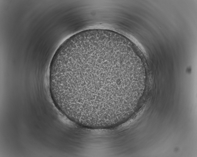 X0000116570988201001211240