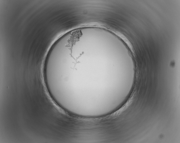 X0000116570989201001211240