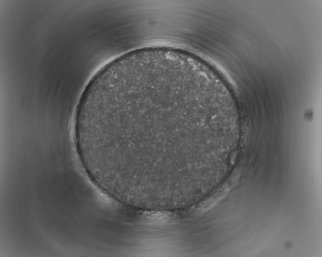 X0000116570991201001211240