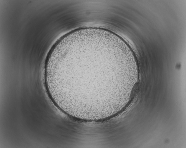 X0000116570992201001211240