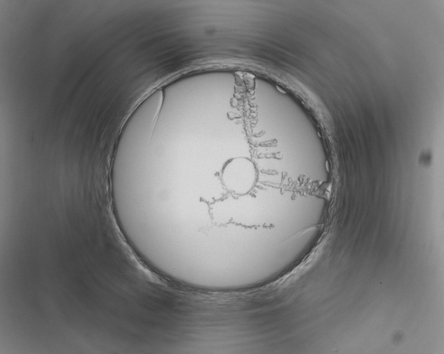 X0000116570993201001211240