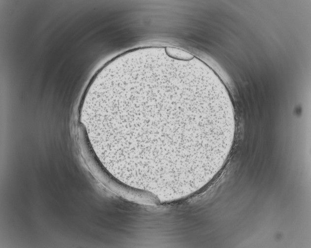 X0000116570996201001211240