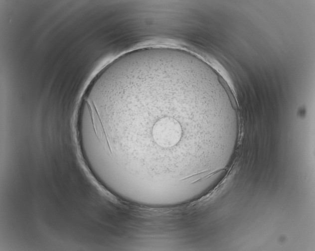 X0000116570997201001211240