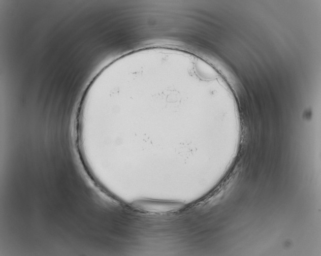 X0000116570999201001211240