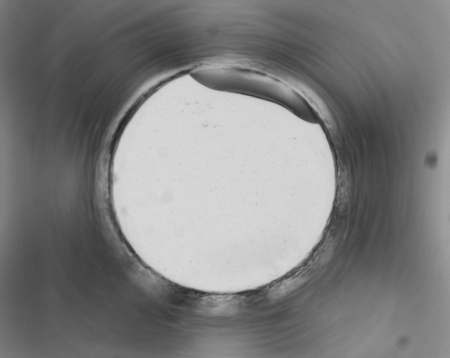 X0000116571000201001211240