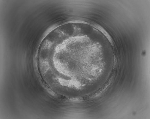 X0000116571002201001211240