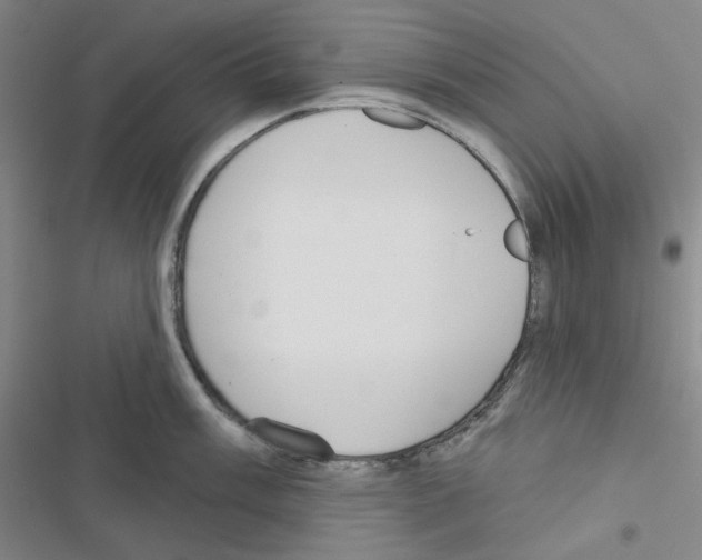 X0000116571003201001211240