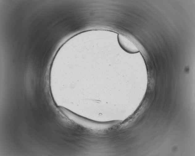 X0000116571004201001211240