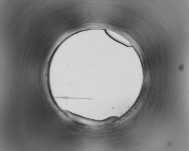 X0000116571005201001211240