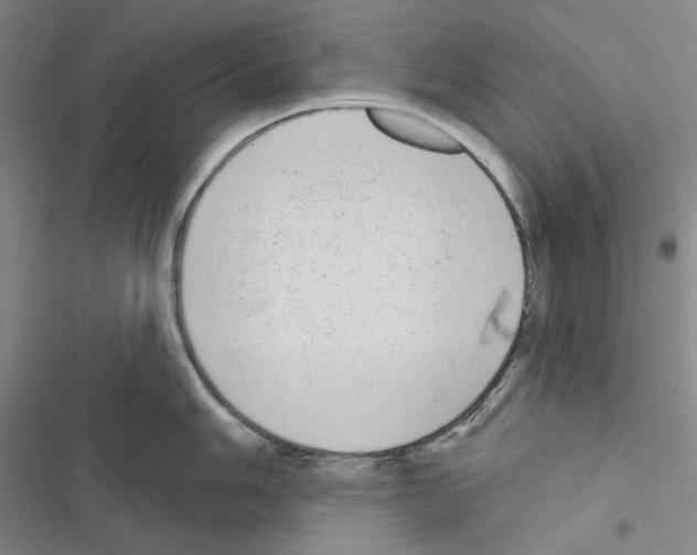 X0000116571006201001211240