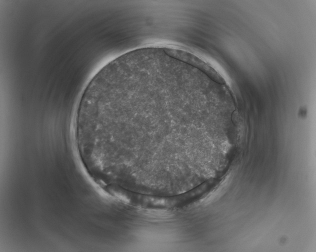 X0000116571007201001211240