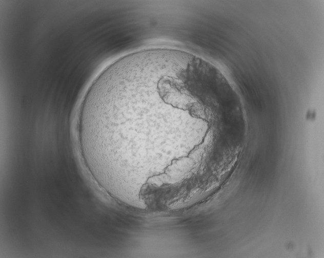 X0000116571008201001211240