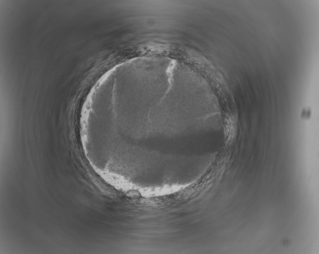 X0000116571009201001211239