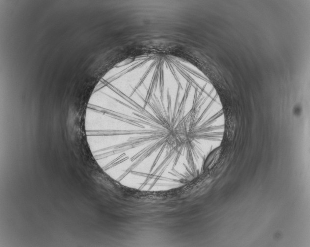 X0000116571010201001211239