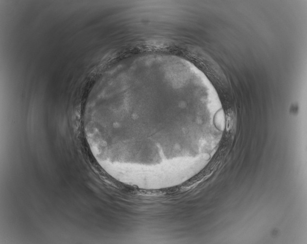 X0000116571011201001211239