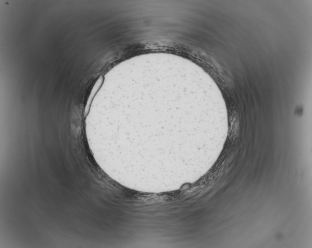 X0000116571012201001211239