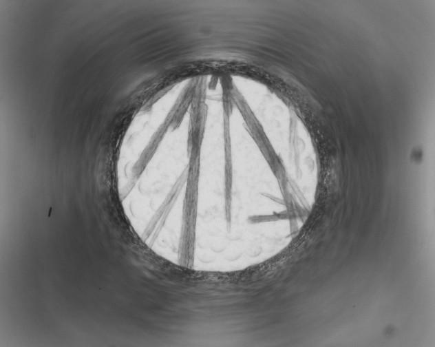 X0000116571014201001211239