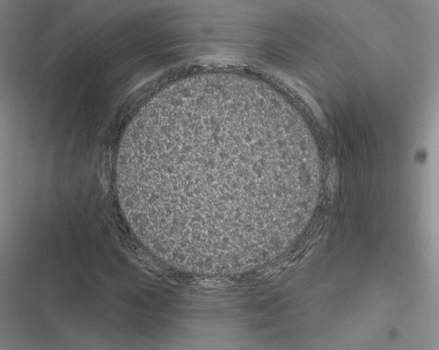 X0000116571015201001211239