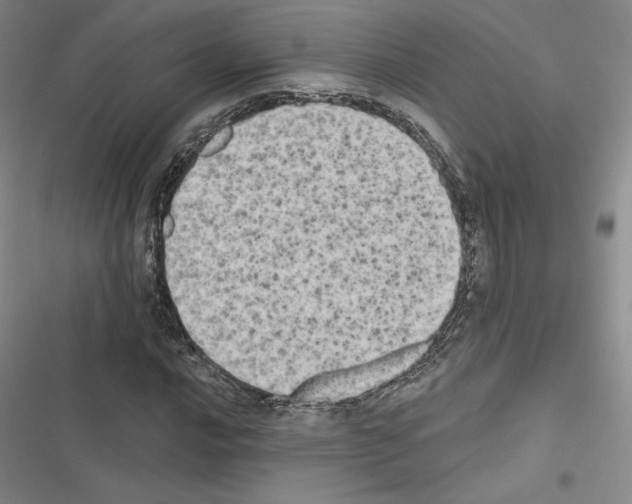 X0000116571016201001211239