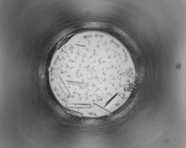 X0000116571017201001211239