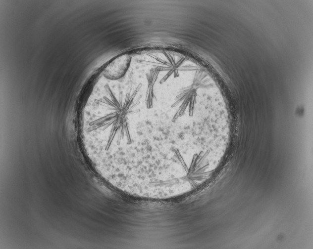 X0000116571018201001211239