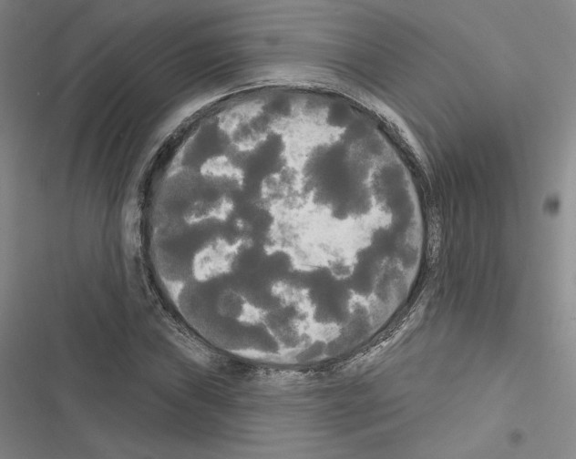 X0000116571019201001211239