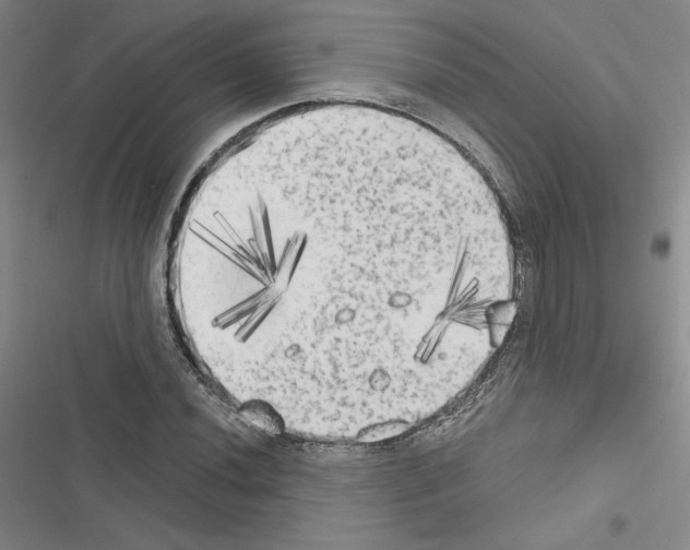 X0000116571020201001211239