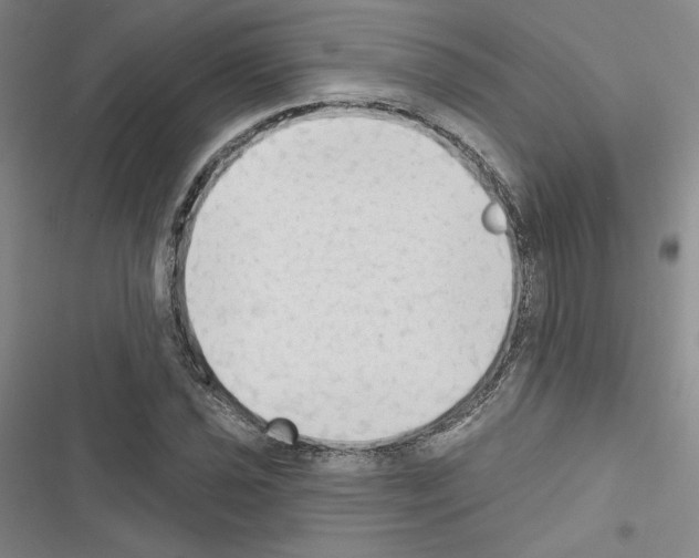 X0000116571021201001211239