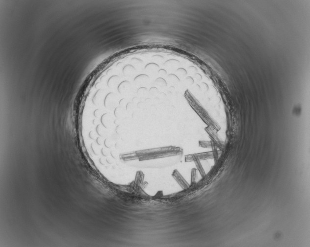 X0000116571022201001211239