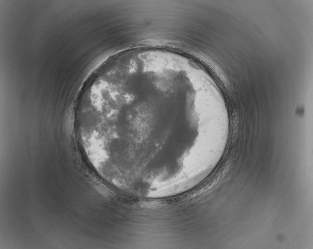 X0000116571023201001211239