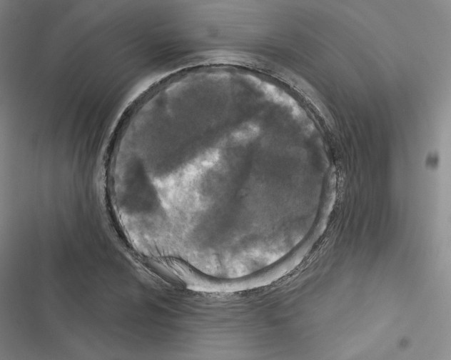 X0000116571024201001211239