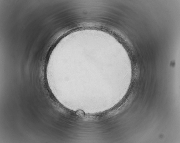 X0000116571025201001211239