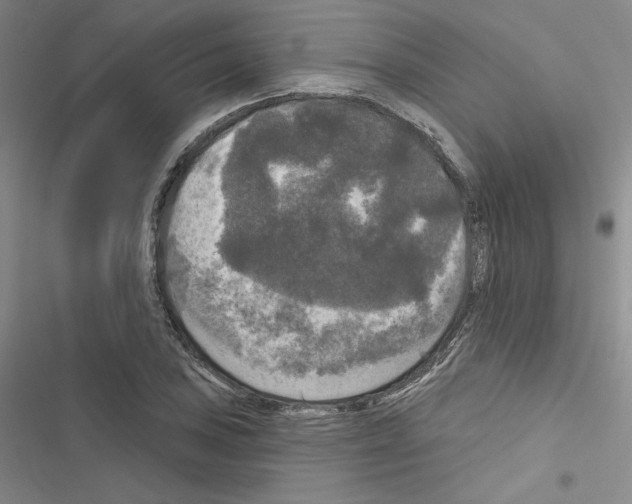 X0000116571027201001211239