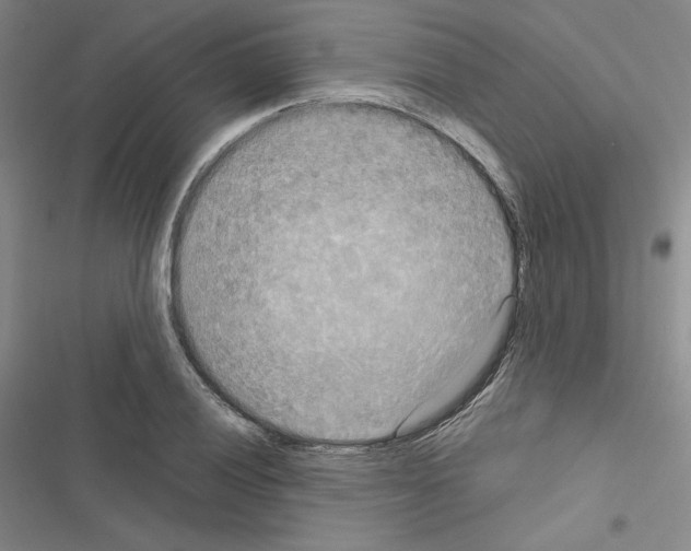 X0000116571028201001211239