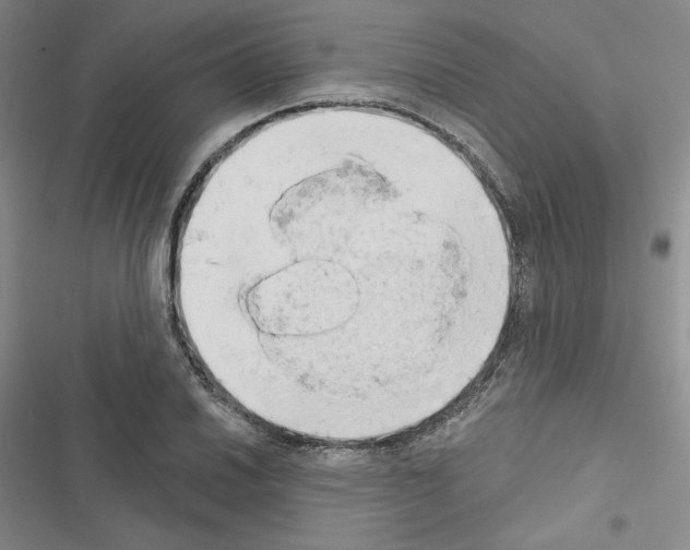 X0000116571030201001211239