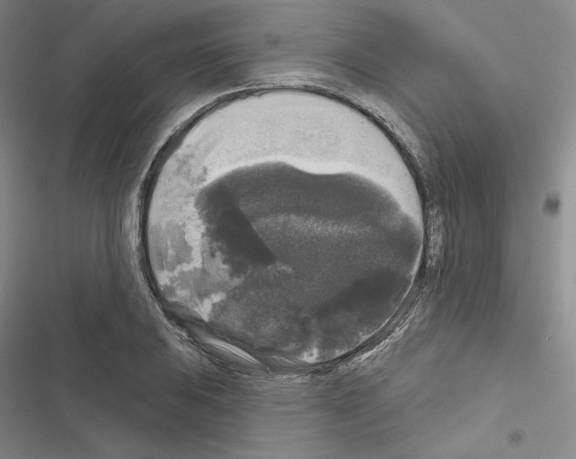 X0000116571031201001211239