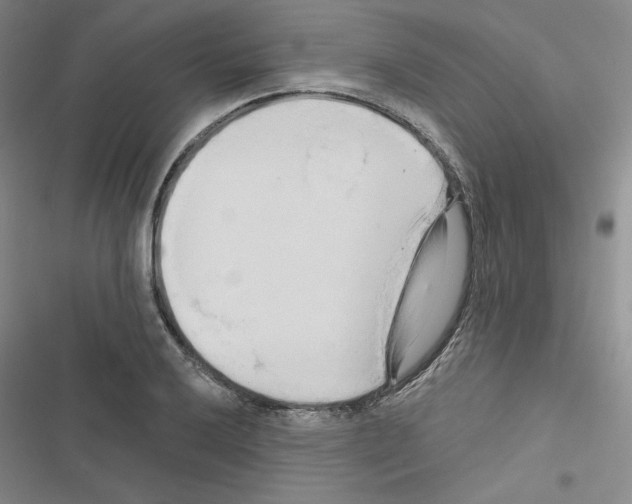 X0000116571032201001211239