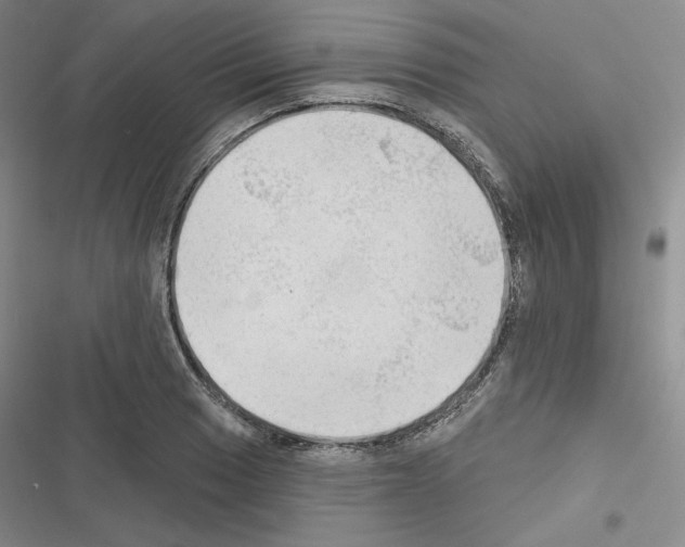 X0000116571033201001211239