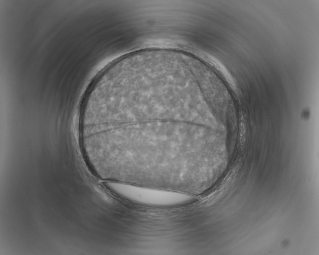 X0000116571035201001211239