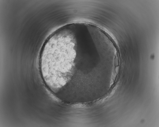 X0000116571037201001211239