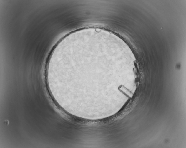 X0000116571038201001211239