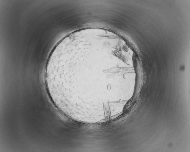 X0000116571040201001211239