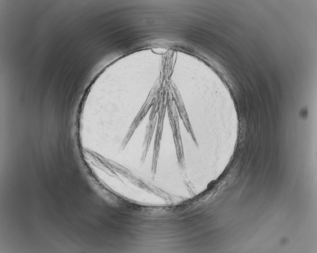 X0000116571042201001211239