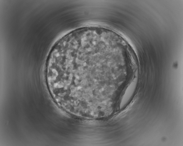 X0000116571045201001211239